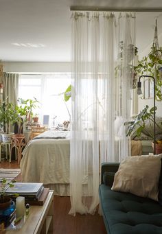 a living room filled with furniture and lots of plants