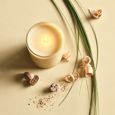 a white candle sitting on top of a table next to some nuts and grass with other items around it