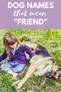 Need the perfect name for your friendly furry friend? Check out this epic list of dog names that mean "friend" for naming inspiration! #dogs #dognames Mean Friend, List Of Dog Names, Friend Names, Names That Mean Love, Best Friends Movie, Girl Dog Names, Female Dog Names