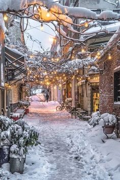 a snowy alley with lights strung from the ceiling and potted plants on either side