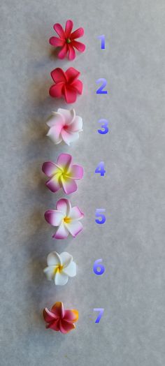 several different colored flowers are arranged in the shape of numbers on a sheet of paper