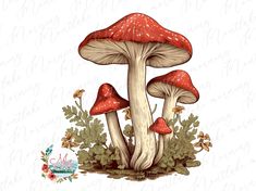 two red mushrooms sitting on top of green leaves next to flowers and plants with the words,