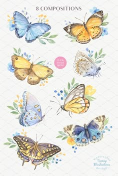 butterflies and flowers with the words 8 compositions written below them in pink, blue, yellow