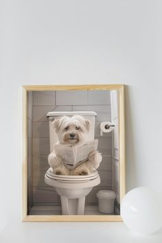 a dog sitting on top of a toilet reading a newspaper