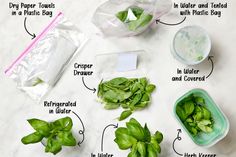 the ingredients to make basil green tea on a white marble counter top, labeled with instructions