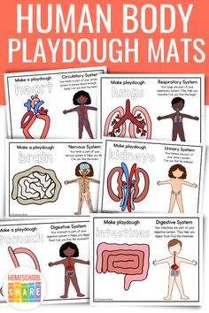 the human body playsdoughmats for kids to learn how to use them