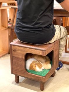 a man sitting on top of a wooden table with a cat in it's bed