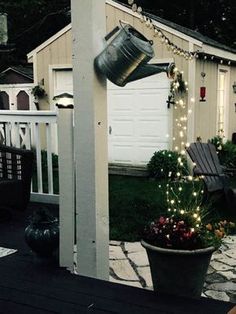 a potted plant with lights hanging from it's side in front of a shed