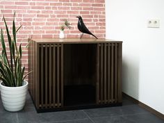 a black bird sitting on top of a wooden cabinet next to a potted plant