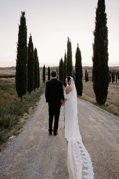 a bride and groom walking down a dirt road in front of some tall cypress trees