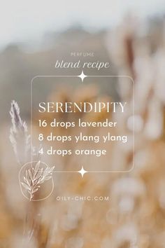 Essential Oil Perfume Blends: 9 Decadent Perfume Recipes Fragrance Oil Recipes, Diy Perfumes, Perfume Oil Recipes, Diy Perfume Recipes, Essential Oil Perfume Blends, Essential Oil Spray Recipes, Perfume Blends, Oil Therapy