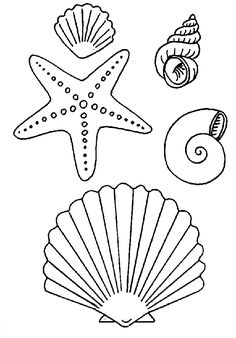 sea shells and seashells coloring pages for kids to print on the wall or use as