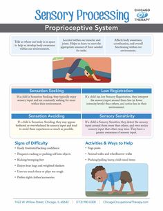 Occupational Therapy Infographic Sheets - Chicago Occupational Therapy Sensory Circuits, Early Intervention Occupational Therapy, Sensory Regulation, Pediatric Physical Therapy Activities, Sensory Classroom