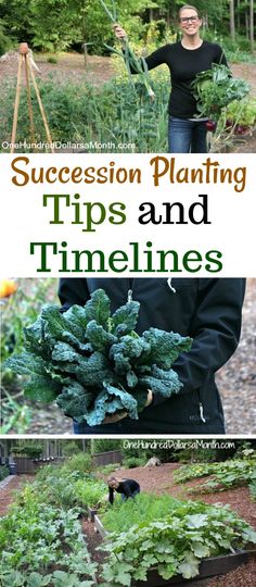 a woman standing in front of a garden filled with vegetables and plants, text reads succession planting tips and timelines