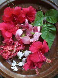 red and white flowers in a brown bowl