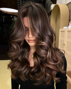 Brunet Hair Ideas, Hair Inspo Brown Balayage, Caramel Hair Lowlights, Brown Hair Inpos, Darker Highlights For Brown Hair, Light Chestnut Brown Hair Balayage, Good Hair Colors For Brown Hair, Chestnut Highlights Curly Hair, Carmel Highlights On Brown Hair Blended