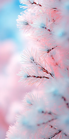 the branches of a pine tree are pink and blue