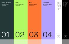 Flock — Brand Identity Energy Colour Palette, Neon Color Branding, Brand Guidelines Color Palette, Friendly Brand Identity, Colourful Brand Identity, Brand Colour Palette Visual Identity, Fitness Brand Identity, Education Color Palette