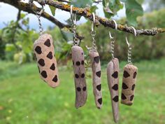 several different items hanging from a tree branch with grass and trees in the back ground