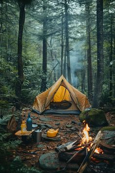 a tent is set up in the middle of a forest with fire and camping equipment