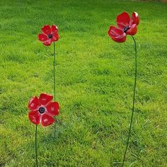 two red flowers are in the grass near each other