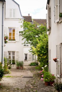 an alley way with potted plants and flowers on either side, between two buildings