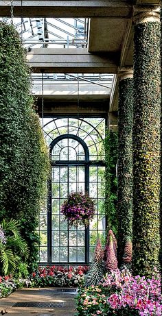 the inside of a building with many different types of flowers and plants growing on it