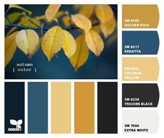 the color scheme for autumn is yellow, blue, and brown with leaves on it