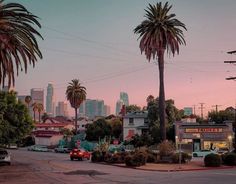 palm trees line the street in front of a cityscape at sunset with buildings and cars