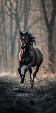 a brown horse running through a forest filled with lots of trees and dirt on top of it's back legs