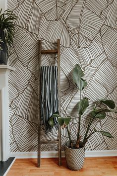 brown banana leaf background, contact paper ,accent wallpaper, brown banana leaf on light background Line Art Wallpaper, Leaf Line Art, Hawaii House, Biology Classroom, Banana Leaf Wallpaper, Palm Wallpaper, Jensen Beach, Bedroom Wallpaper, Leaves Wallpaper