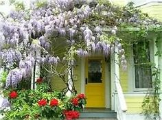 a yellow house with purple and red flowers on the front door, and stairs leading up to it