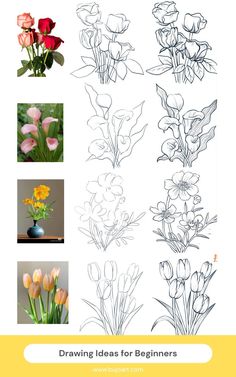 some flowers that are in different stages of blooming and the words drawing ideas for beginners