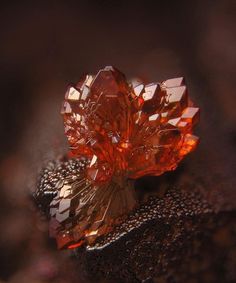 Strengite mineral Geology Rocks, Rock Minerals, Pretty Rocks, Beautiful Rocks, Mineral Stone, Minerals And Gemstones, Rocks And Gems, Precious Gems, Gems And Minerals