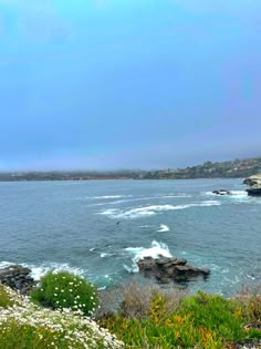 an ocean view with rocks and flowers on the shore