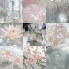 many different pictures of flowers and ice formations in the snow, with one pink flower surrounded by icicles