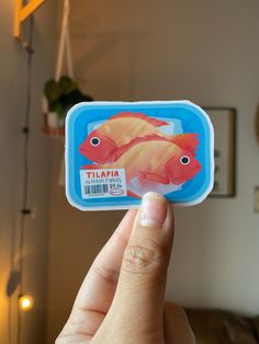 a person holding up a small plastic container with fish on it