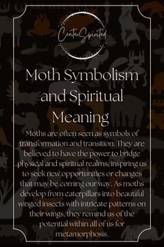 Moth Symbolism, Finding Feathers, Feather Symbolism, Feather Tattoo Meaning, Animal Meanings