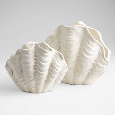 two white seashells sitting next to each other