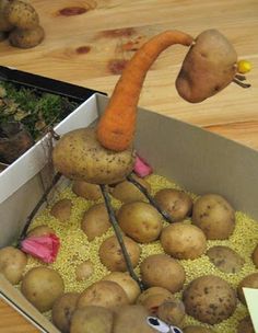 a box filled with potatoes and carrots sitting on top of a wooden table next to a plant