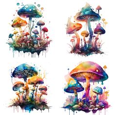 four different types of mushrooms painted in watercolor