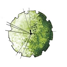 an image of a green leaf that has been cut in half and is being used as a diagram