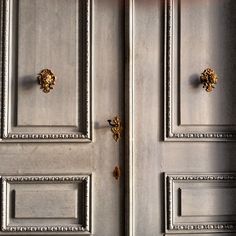 the door is made of wood and has two handles on each side with brass knobs