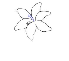 a drawing of a flower on a white background with blue lines in the bottom corner