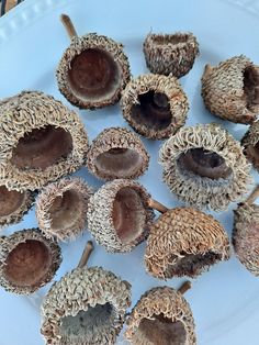 a plate with seeds on it sitting on a table