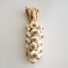 garlic and other vegetables are arranged on a white surface with the stems still attached to them