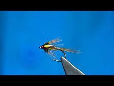 an orange and yellow fly flies through the air on a pair of scissors in front of a blue sky