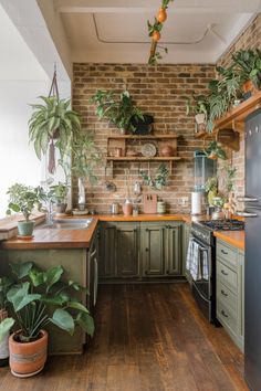 a kitchen filled with lots of green plants next to a stove top oven and refrigerator