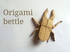 an origami beetle sitting on top of a piece of paper with the words origami beetle below it