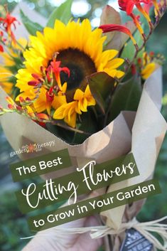 the best cutting flowers to grow in your garden